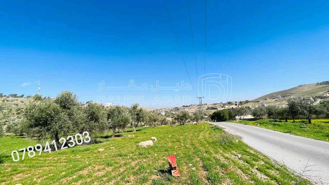 أرض في قطعه ارض في بيرين قرب شفابدران  - 39,000 دأ - صورة 1