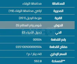 أرض - طريق الزرقاء - بيرين - 35500 دأ