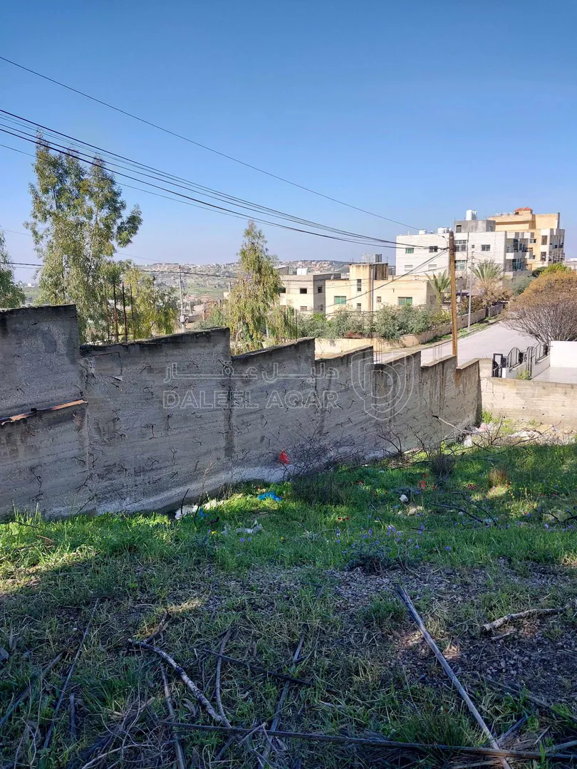 أرض في ناعور  - 65,000 دأ - صورة 1