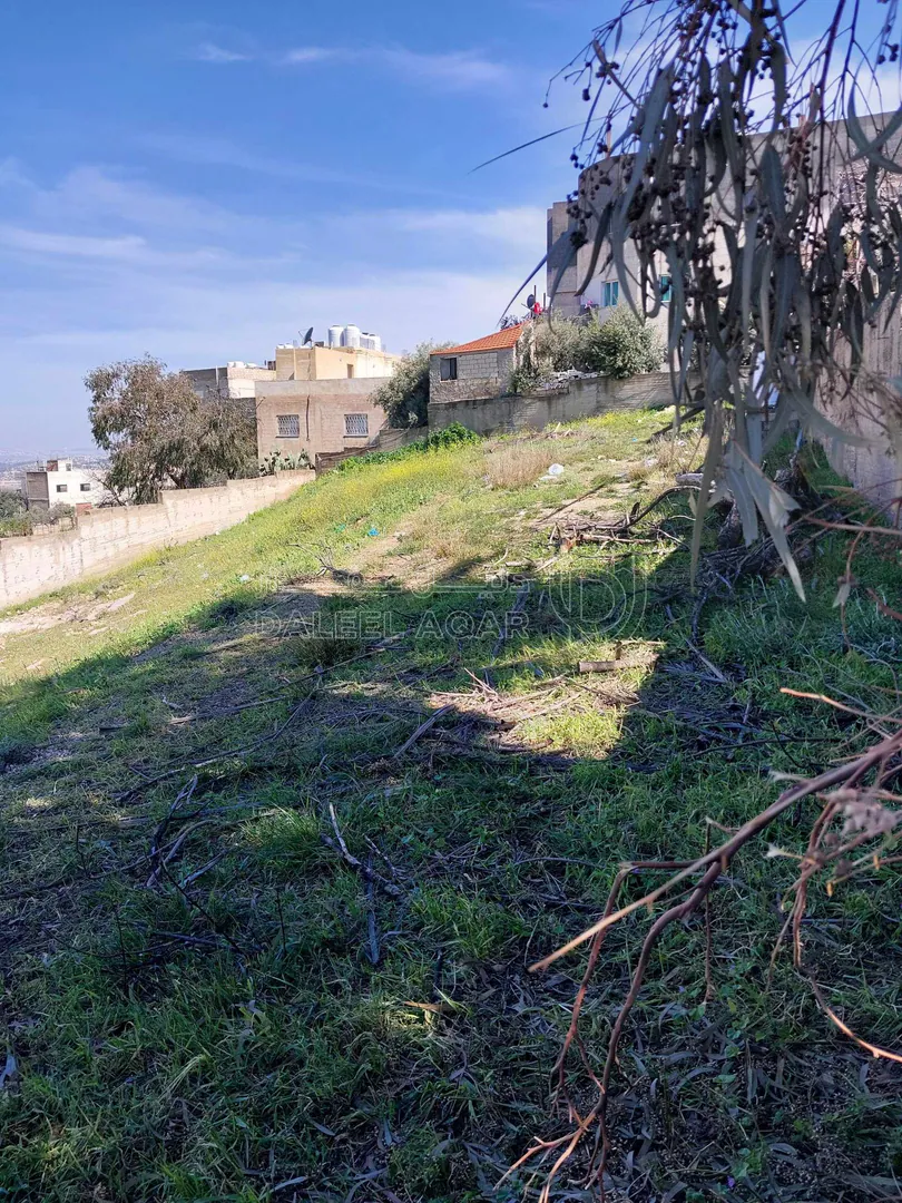 أرض في ناعور  - 65,000 دأ - صورة 1