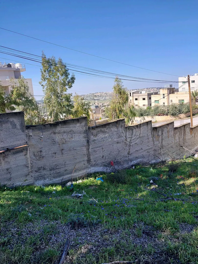 أرض في ناعور  - 65,000 دأ - صورة 1