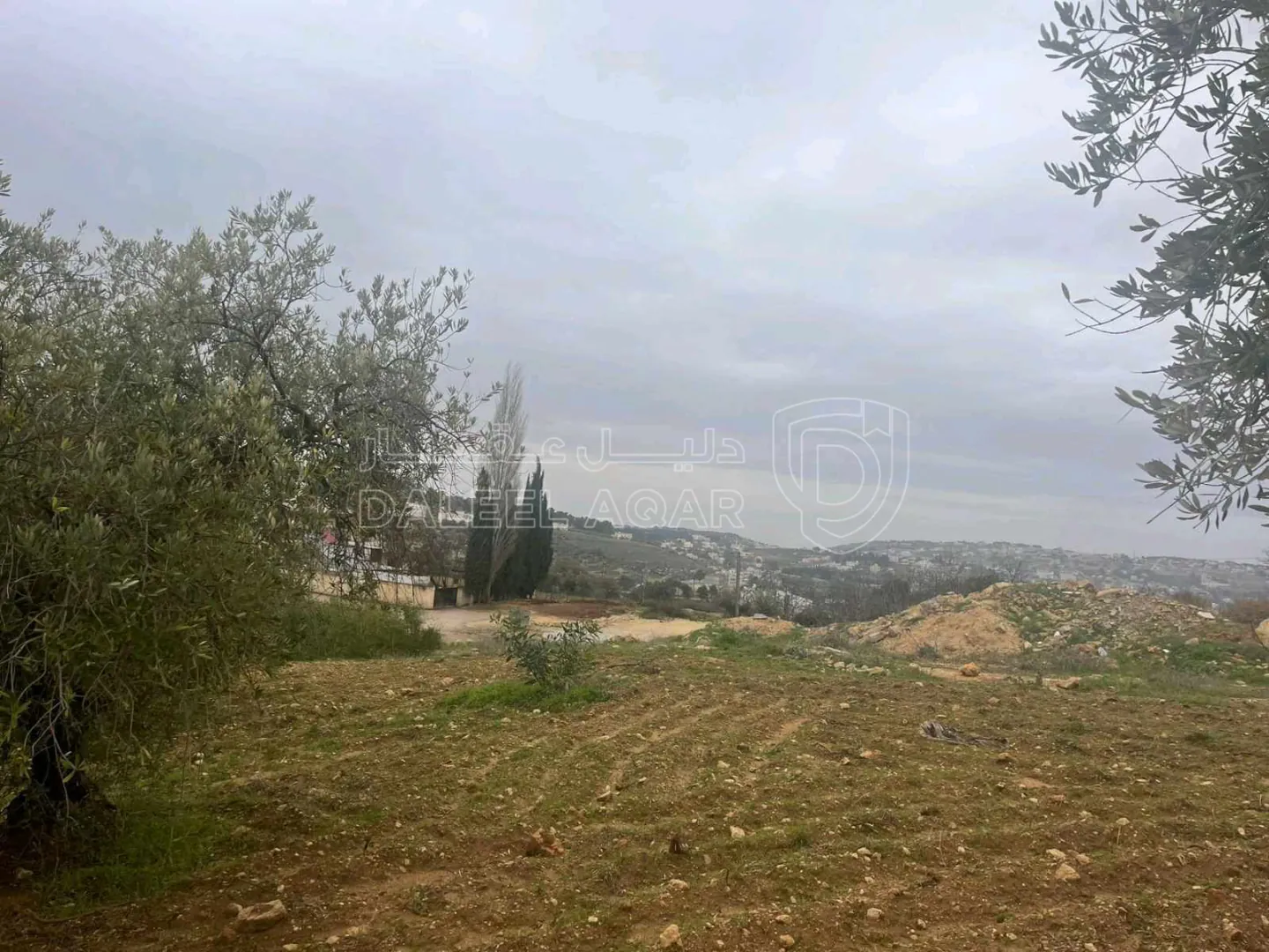 أرض في عمان ناعور قرب شارع السلام - 165,000 دأ - صورة 1