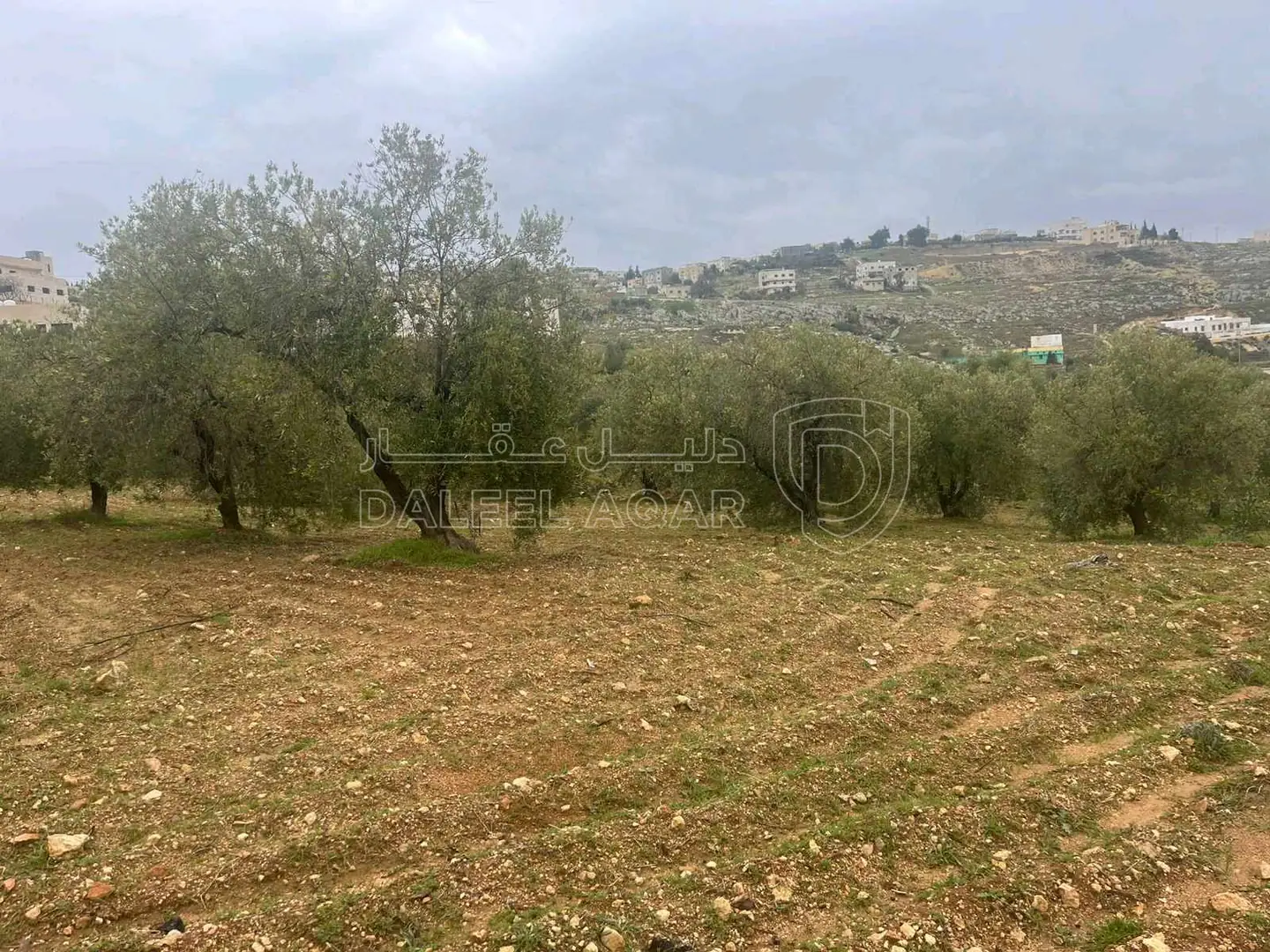 أرض في عمان ناعور قرب شارع السلام - 165,000 دأ - صورة 1