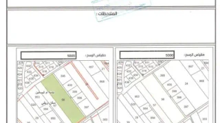 أرض - ام البساتين - 1265025 دأ