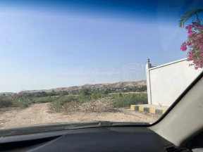 أرض في ارض للبيع - الشونة الجنوبية  - 31,000 دأ - صورة NaN