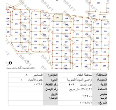 أرض في ارض للبيع - الشونة الجنوبية  - 31,000 دأ - صورة NaN