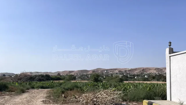 أرض في ارض للبيع - الشونة الجنوبية  - 31,000 دأ - صورة 1