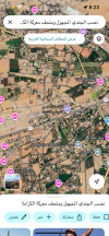 أرض في ارض للبيع - الشونة الجنوبية  - 31,000 دأ - صورة NaN
