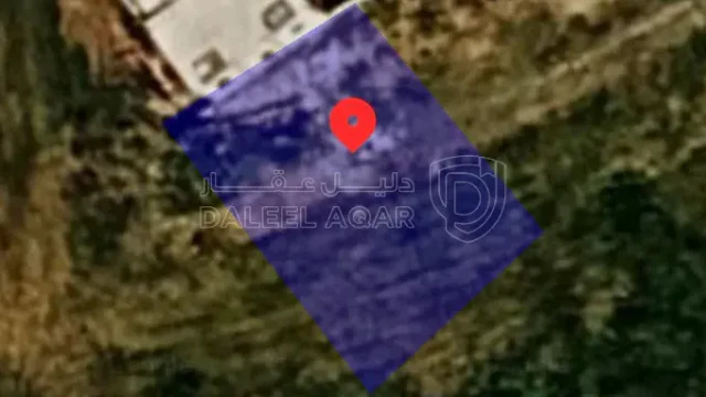 أرض - جريبا - حوض السلايطة - 14000 دأ