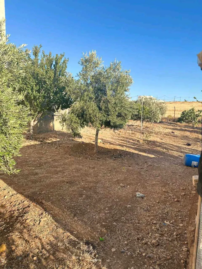فيلا/منزل في المفرق - منشية بني حسن - قرب قصر الدكتور خيرو  - 150,000 دأ - صورة 1