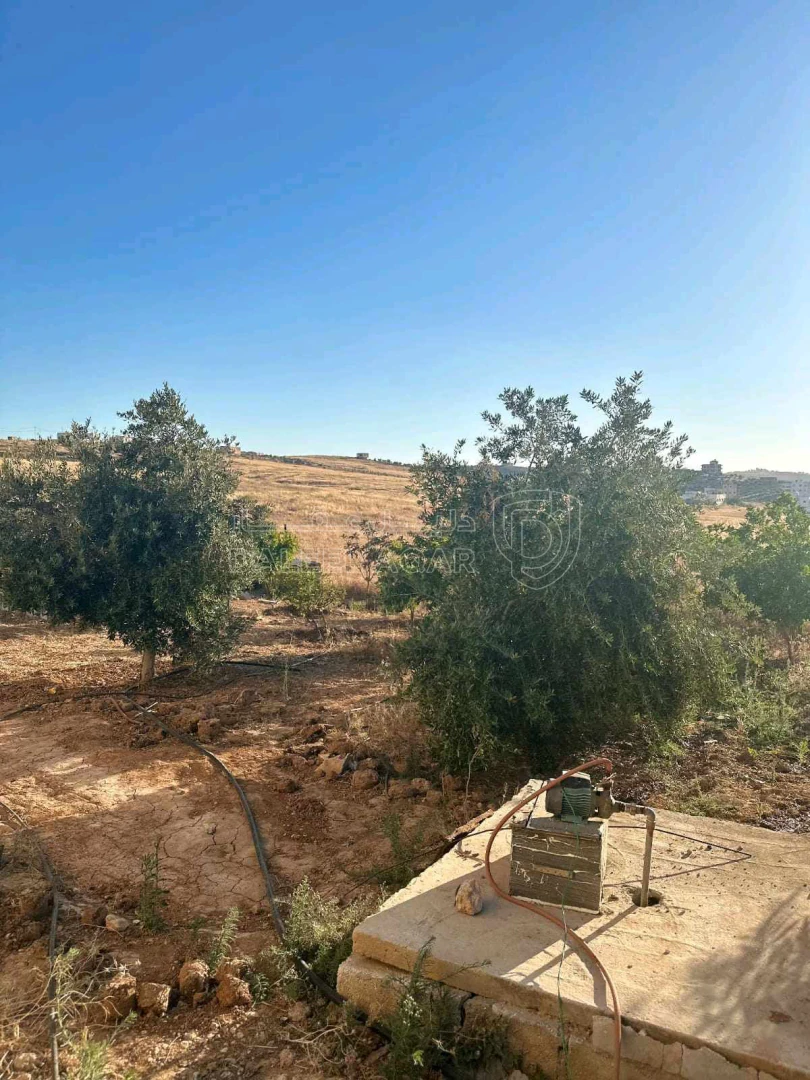 فيلا/منزل في المفرق - منشية بني حسن - قرب قصر الدكتور خيرو  - 150,000 دأ - صورة 1