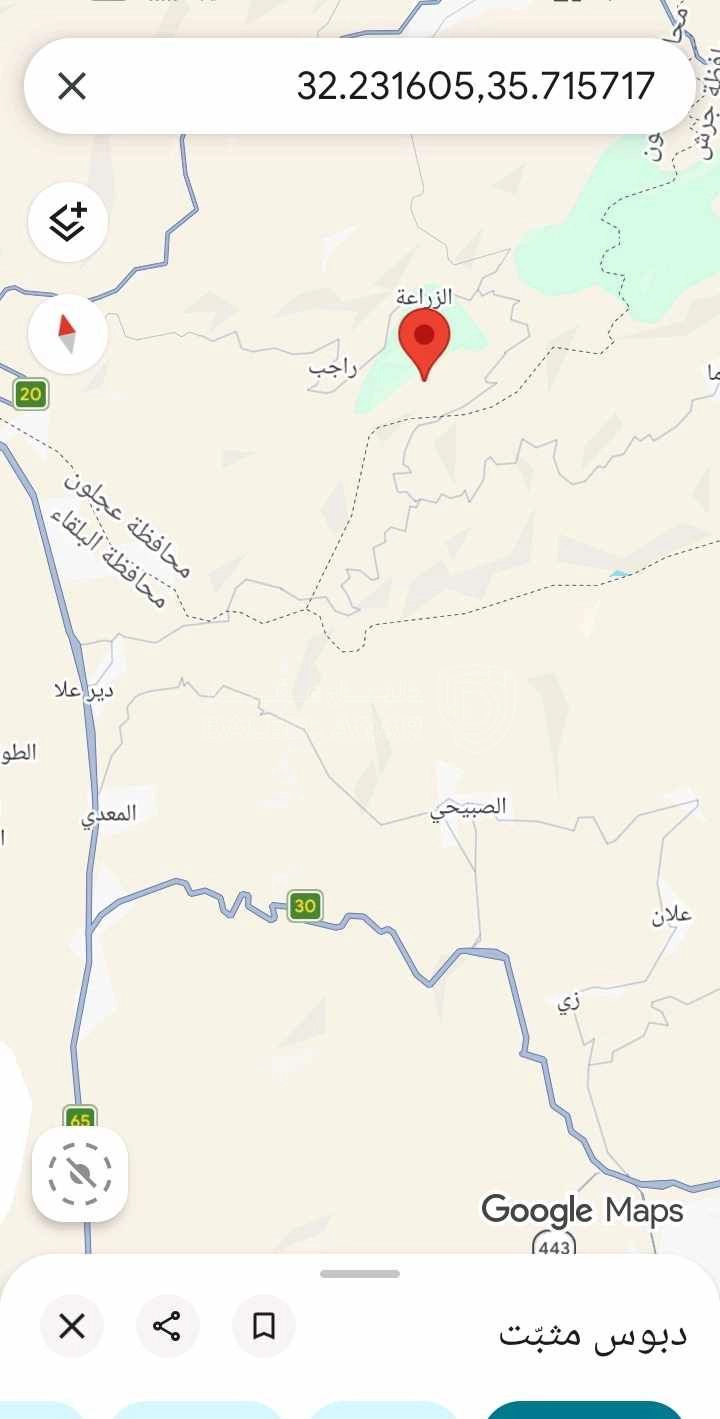 أرض في أرض أستثمارية غرب محافظة عجلون-الجبل الأخضر  - 75,000 دأ - صورة 1
