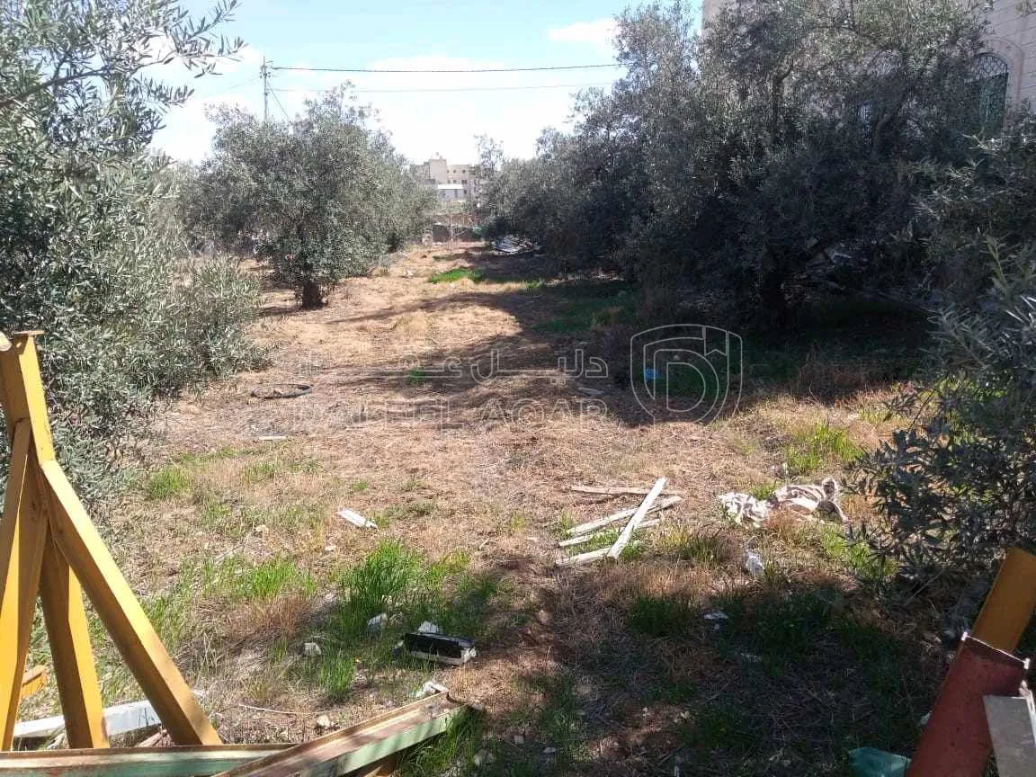 أرض في عمان قريب اشارة الخربة - 80,000 دأ - صورة 1