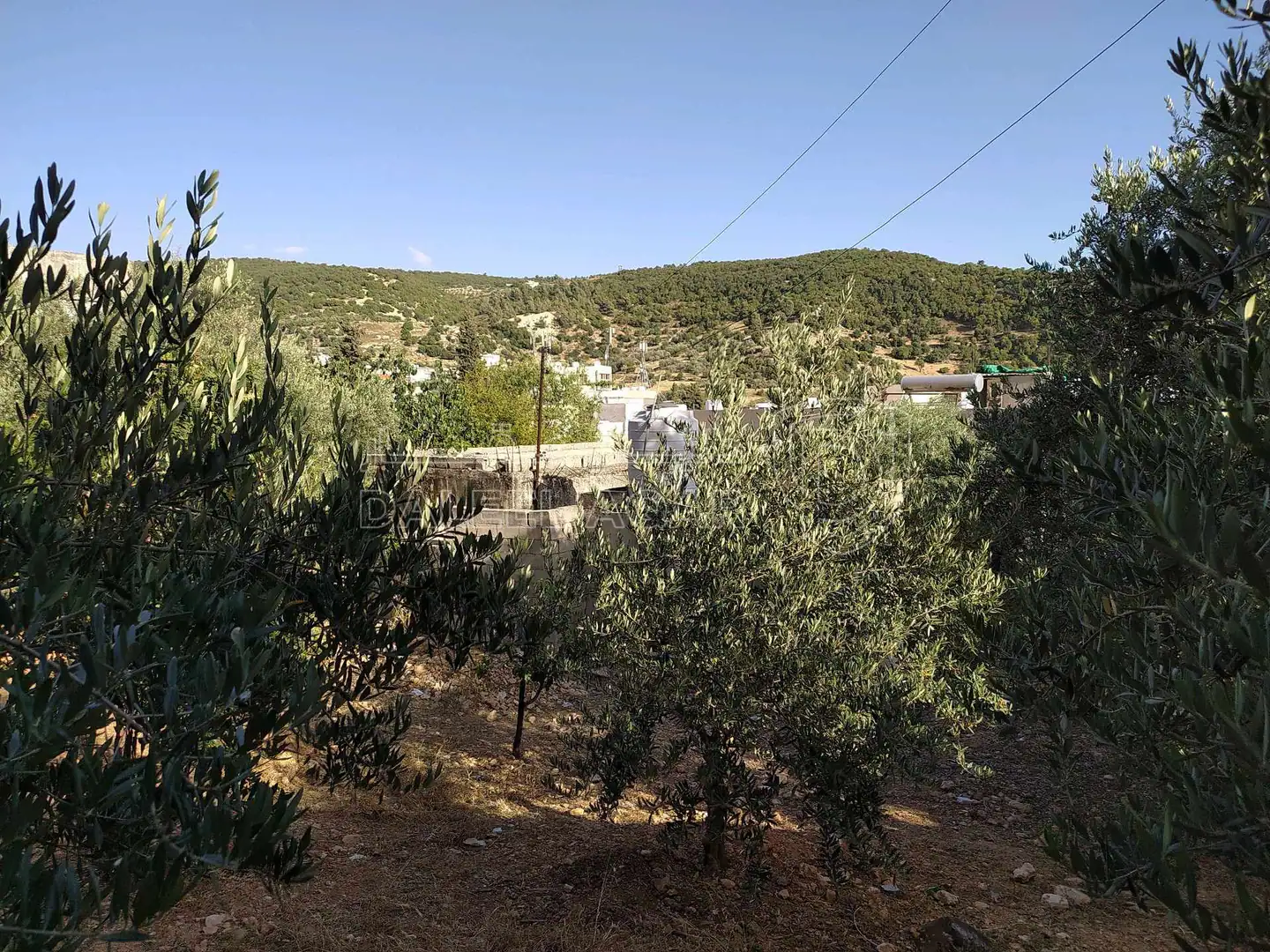 أرض في عجلون عين جنا وسط البلد - 30,000 دأ - صورة 1