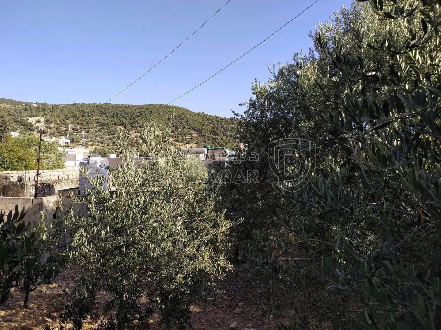 أرض في عجلون عين جنا وسط البلد - 30,000 دأ - صورة 1