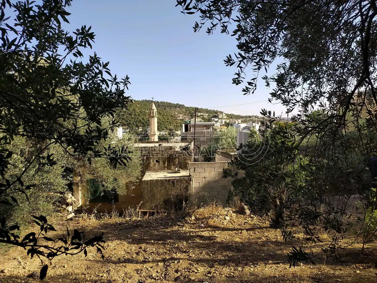 أرض في عجلون عين جنا وسط البلد - 30,000 دأ - صورة 1