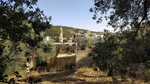 أرض - عجلون عين جنا وسط البلد - 30000 دأ