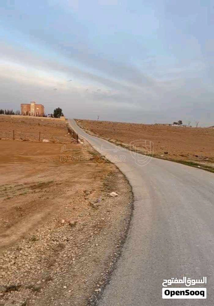 أرض في ارض 4 دونم في  العامرية الرجيلة للبيع  - 3,900 دأ - صورة 1