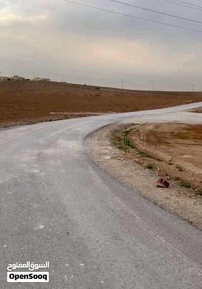 أرض في ارض 4 دونم في  العامرية الرجيلة للبيع  - 3,900 دأ - صورة 1