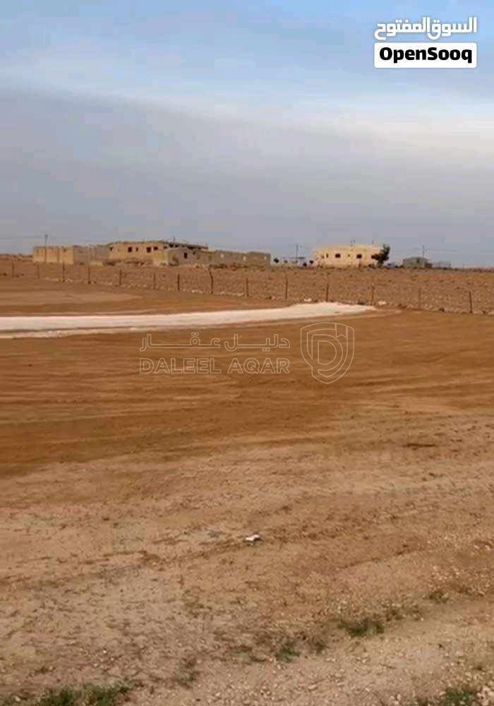 أرض في ارض 4 دونم في  العامرية الرجيلة للبيع  - 3,900 دأ - صورة 1