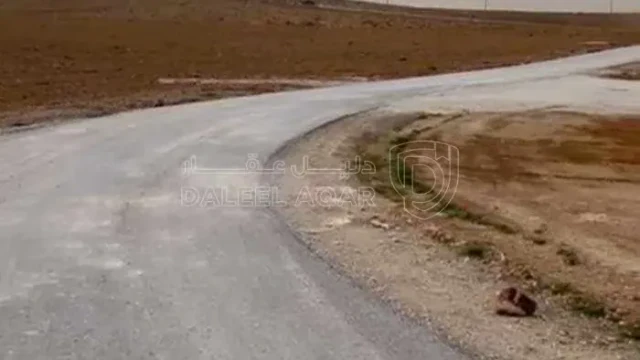 أرض في ارض 4 دونم في  العامرية الرجيلة للبيع  - 3,900 دأ - صورة 1
