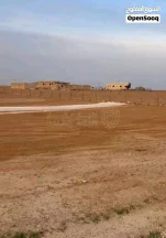 أرض في ارض 4 دونم في  العامرية الرجيلة للبيع  - 3,900 دأ - صورة NaN