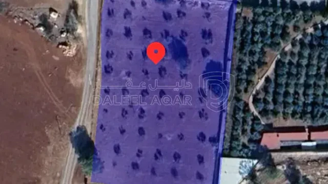 أرض في العالوك الزرقاء - 120,000 دأ - صورة 1