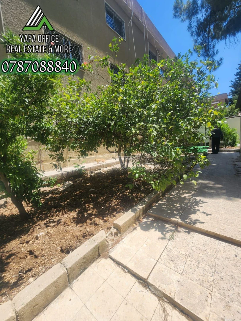 شقة في 📍الرابيه – ضاحية الحسين - 75,000 دأ - صورة 1