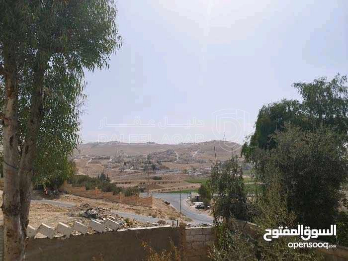 فيلا/منزل في الزرقاء السخنة ابو الزيغان  - 53,000 دأ - صورة 1