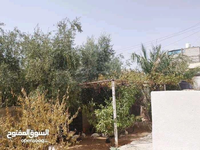 فيلا/منزل في الزرقاء السخنة ابو الزيغان  - 53,000 دأ - صورة 1