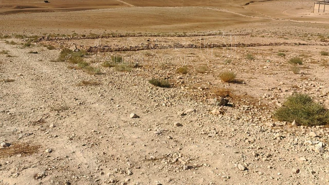 أرض في أرض البيع الموقر خلف ديوان الخرشان  - 12,500 دأ - صورة NaN