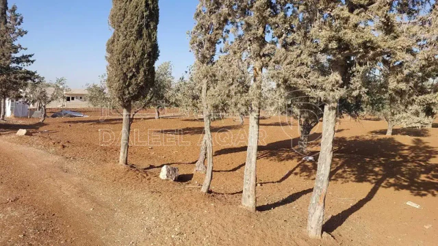 أرض في مأدبا - ماعين  - 90,000 دأ - صورة 1