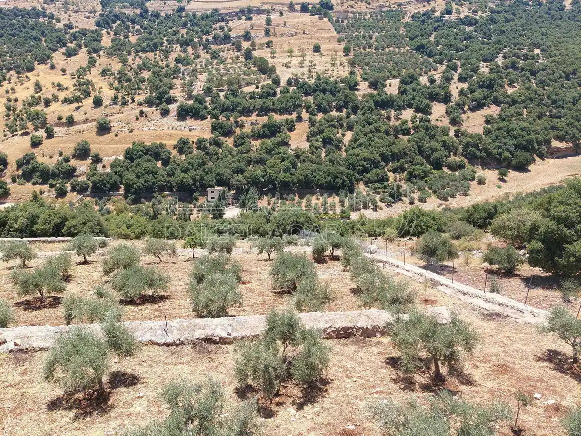 مزرعة/شاليه في السلط الزعتري منطقة المضري - 190,000 دأ - صورة 1