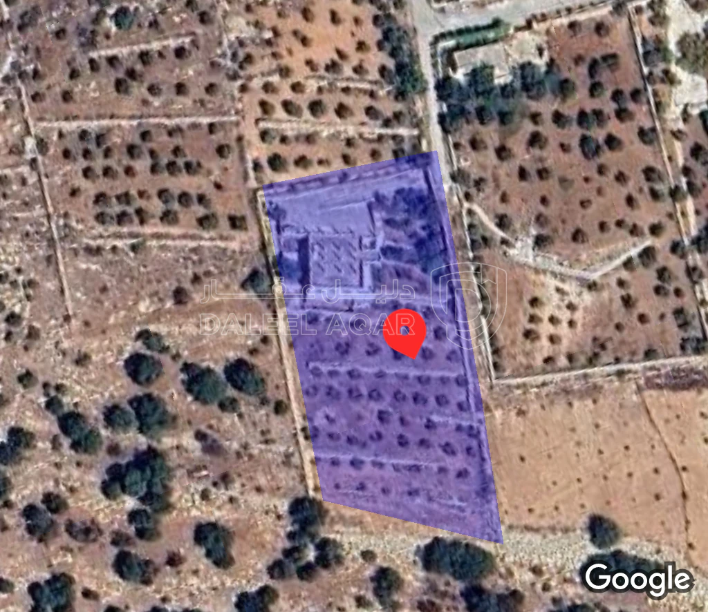 مزرعة/شاليه في السلط الزعتري منطقة المضري - 190,000 دأ - صورة 1