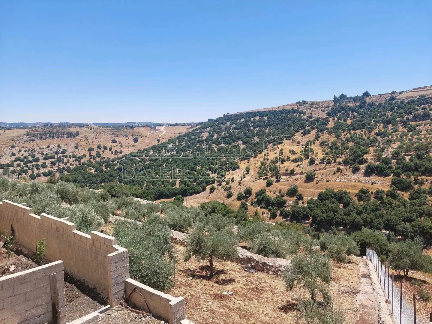 مزرعة/شاليه في السلط الزعتري منطقة المضري - 190,000 دأ - صورة 1