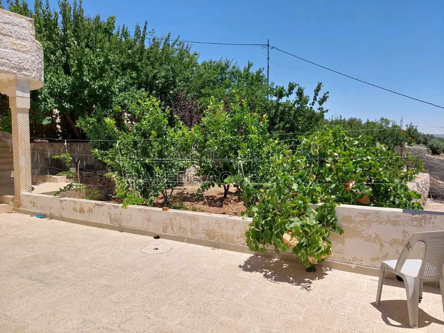 مزرعة/شاليه في السلط الزعتري منطقة المضري - 190,000 دأ - صورة 1