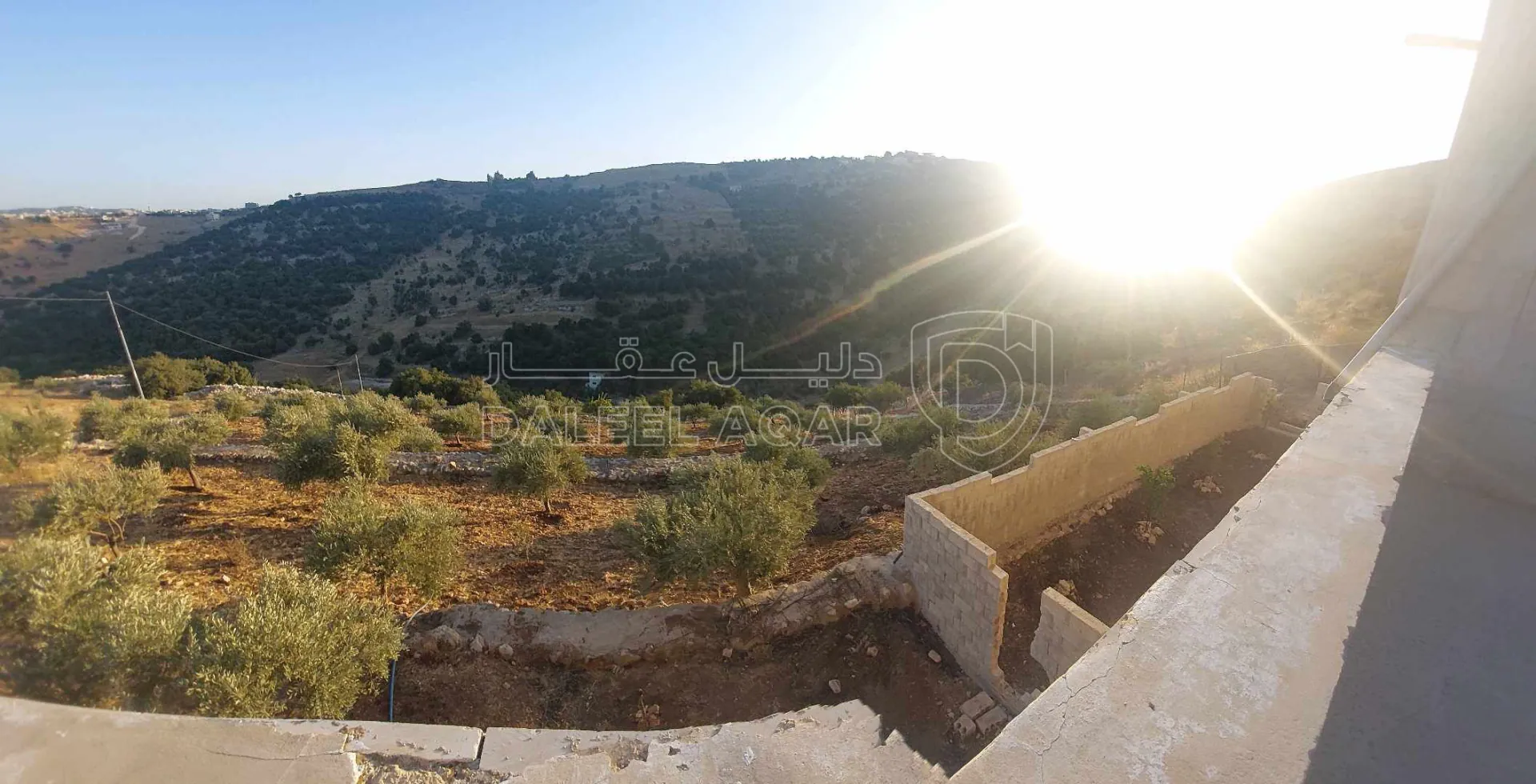 مزرعة/شاليه في السلط الزعتري منطقة المضري - 190,000 دأ - صورة 1