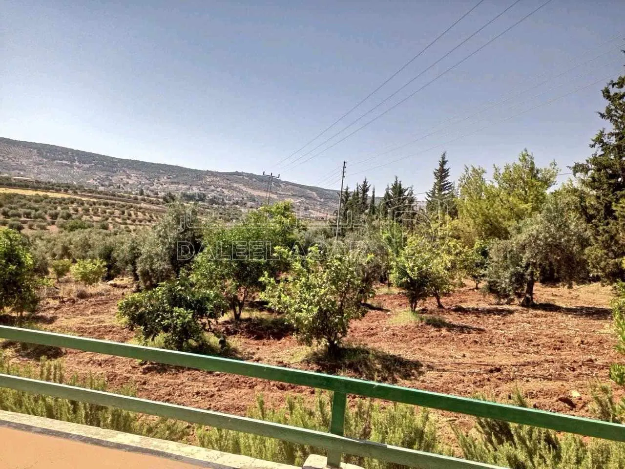 مزرعة/شاليه في سيحان جريش - 270,000 دأ - صورة 1