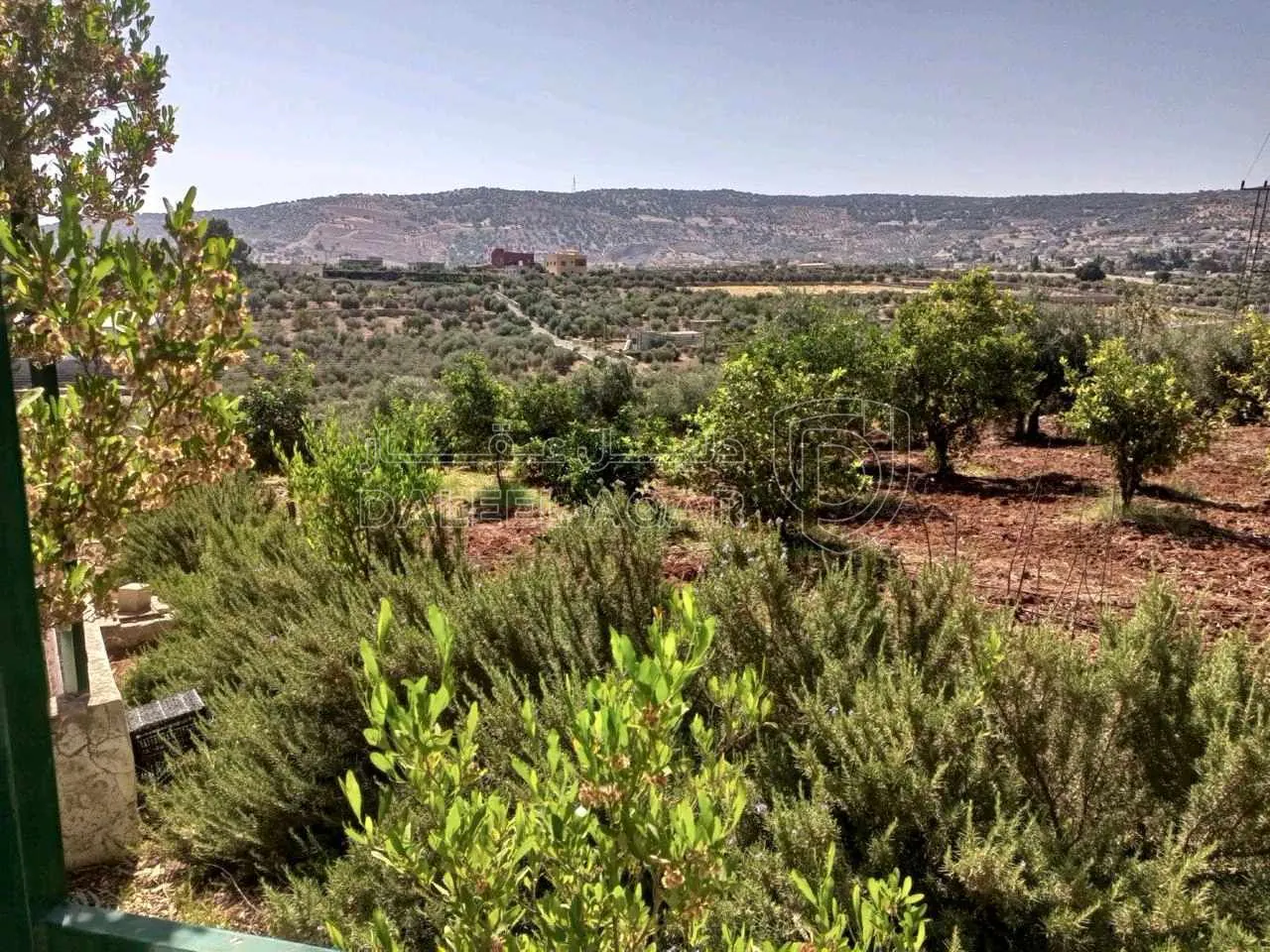 مزرعة/شاليه في سيحان جريش - 270,000 دأ - صورة 1