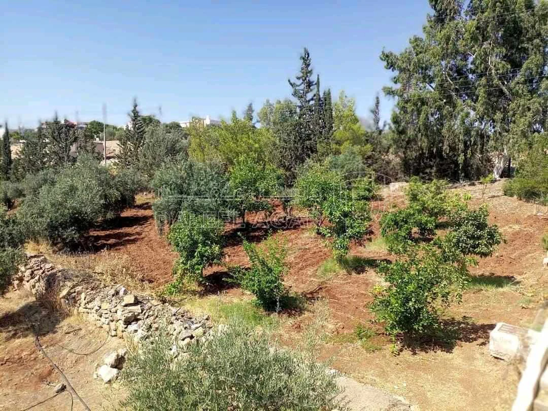 مزرعة/شاليه في سيحان جريش - 270,000 دأ - صورة 1