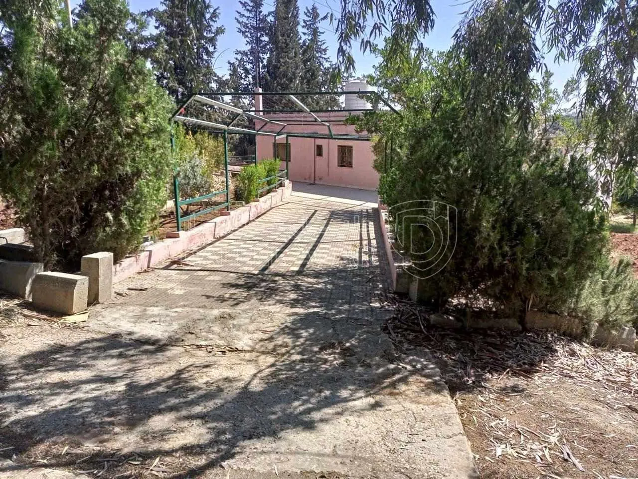 مزرعة/شاليه في سيحان جريش - 270,000 دأ - صورة 1