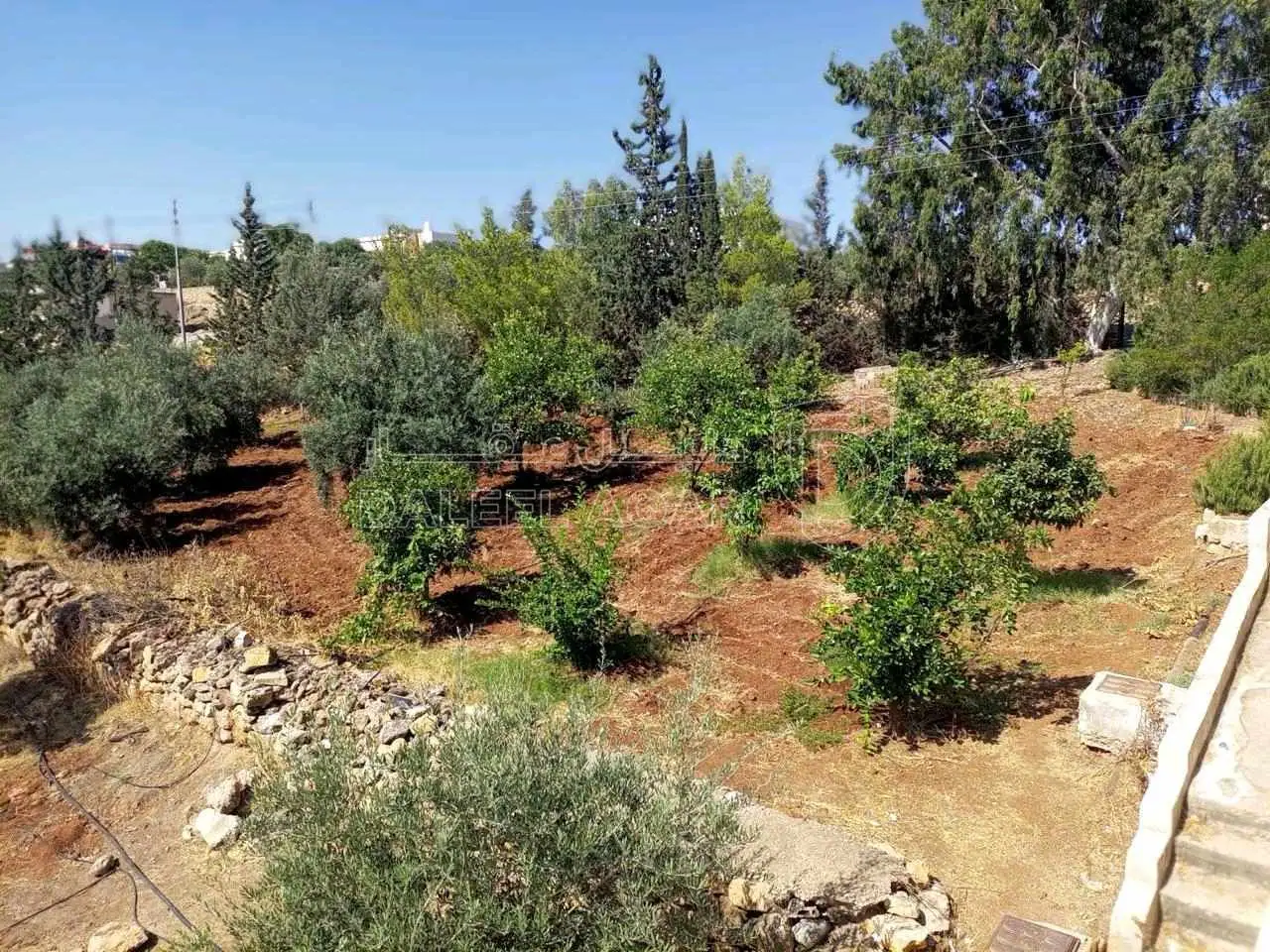 مزرعة/شاليه في سيحان جريش - 270,000 دأ - صورة 1