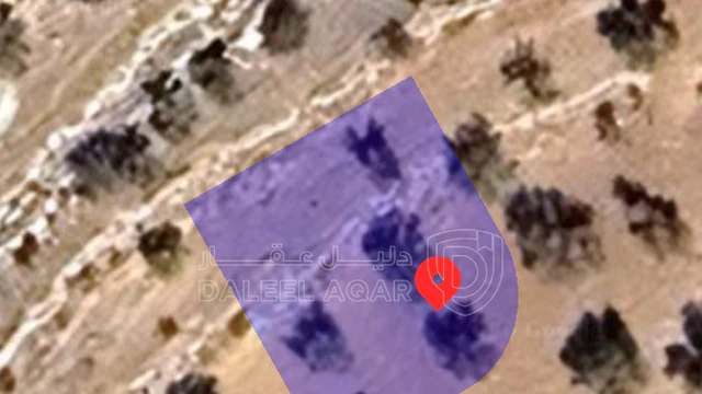 أرض في رجم الشوف قرب شفا بدران  - 35,000 دأ - صورة NaN