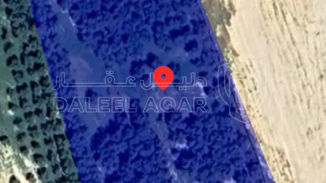 مزرعة/شاليه في جنوب عمان البريك مزرعة - 70,000 دأ - صورة 1