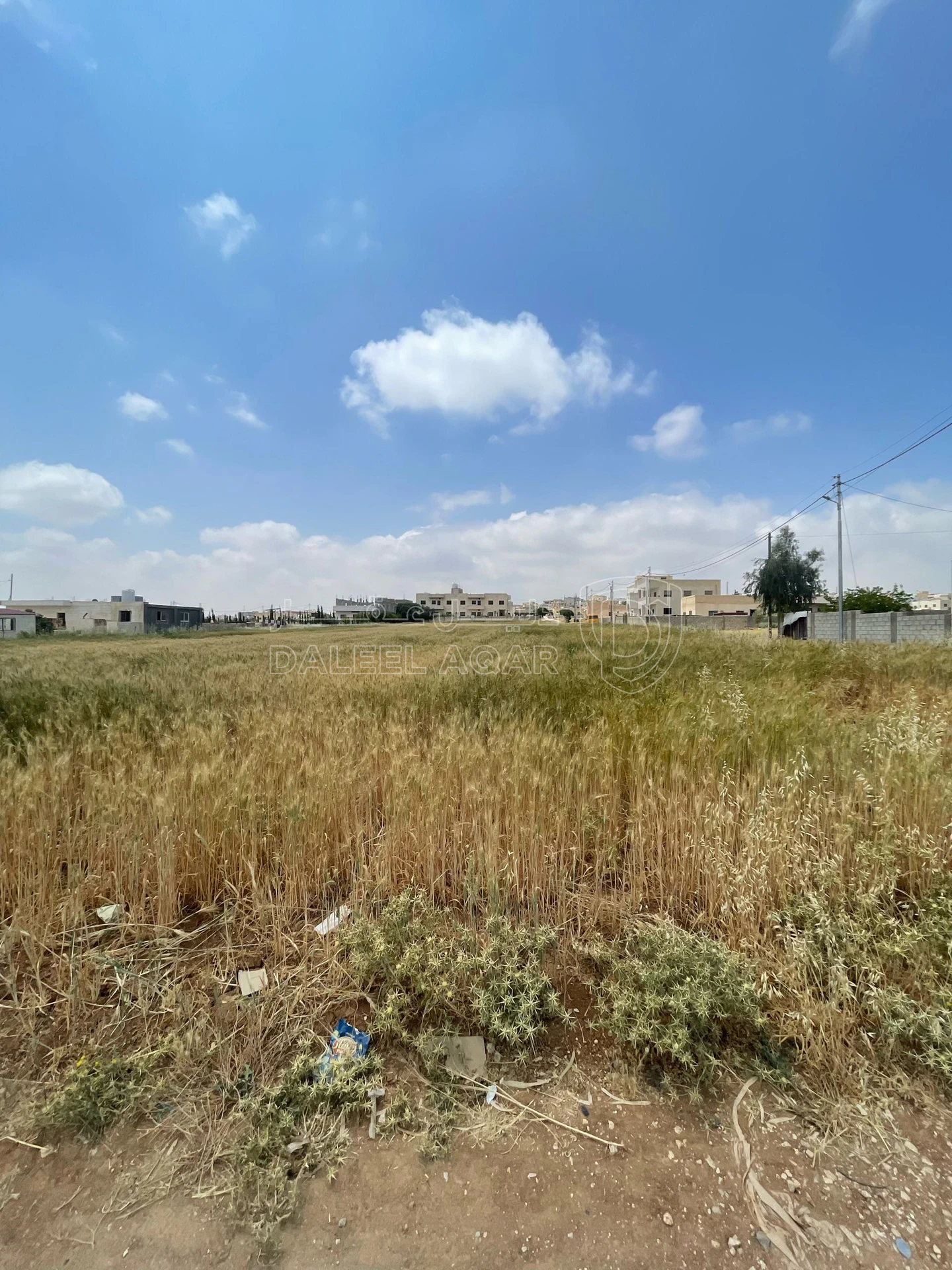 أرض في مادبا حي الأندلس حوض ربع العجلة  - 30,000 دأ - صورة 6
