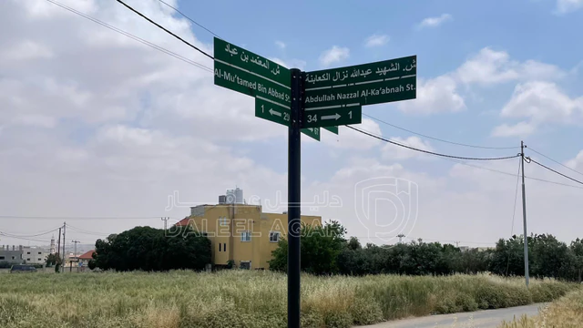 أرض في مادبا حي الأندلس حوض ربع العجلة  - 30,000 دأ - صورة NaN