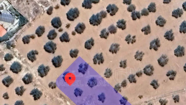 أرض في شمال عمان منطقة ام الدنانير - 45,000 دأ - صورة NaN