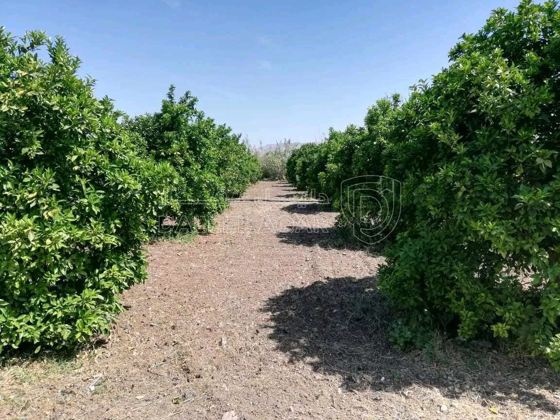 أرض في مقابل جسر المنشية  عالقناه  مباشره - 140,000 دأ - صورة 1