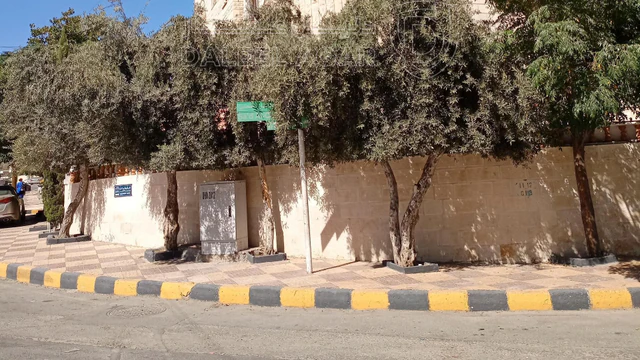 فيلا/منزل في عمان شارع سعد القارئ مقابل مدرسة أم الحيران للبنين - 325,000 دأ - صورة NaN