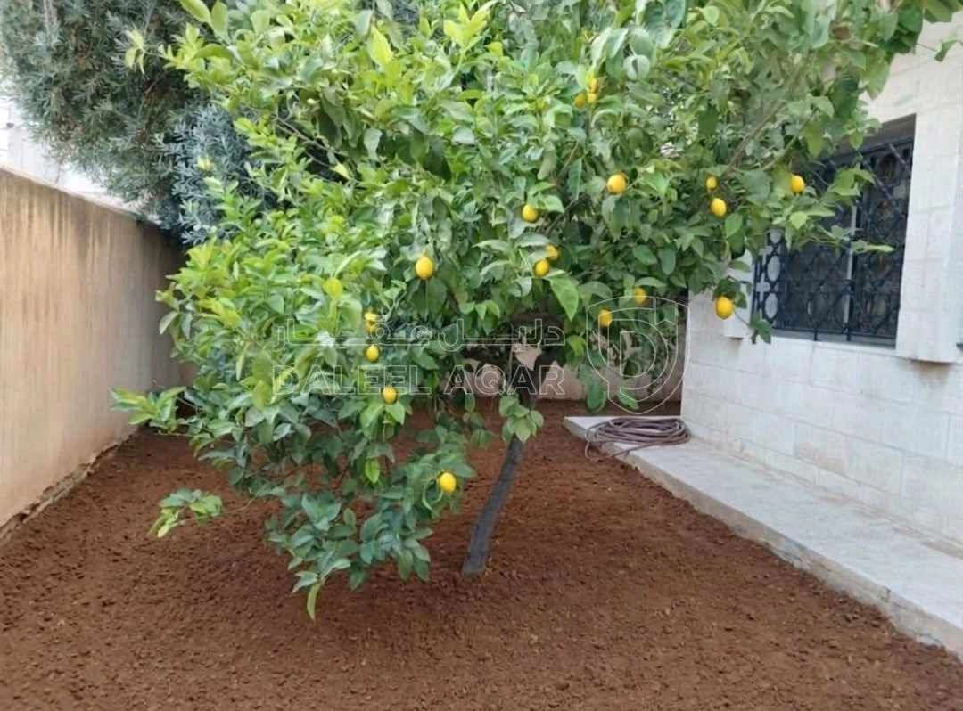 فيلا/منزل في قطعة ارض مساحة 600 م مقام عليها بيت مستقل مكون من - 184,000 دأ - صورة 2